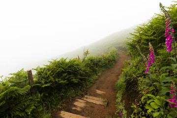 Hiking trail in Bretagne, France