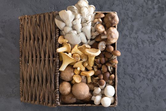 View from above of wicker basket with forest rare delicious edible mushrooms on a dark textural background, flat lay.