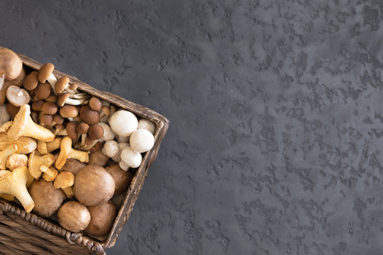 View from above of wicker basket with forest rare delicious edible mushrooms on a dark textural background, flat lay.