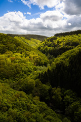 Fototapeta na wymiar High contract valley in the forest. Germany