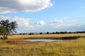 Obraz premium Savannah view in autmn in Namibia