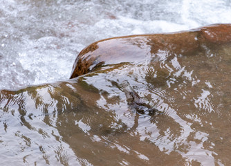 glass bottle on the river