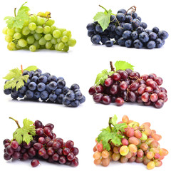 Bunch of grapes on a white background