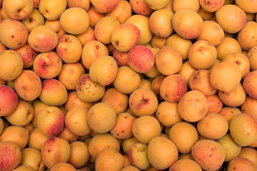 Naklejka na ściany i meble Background of ripe apricot. Close up