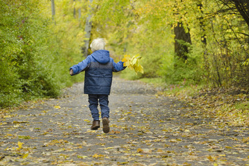 Fototapeta premium Blond boy running through the autumn park. Back view
