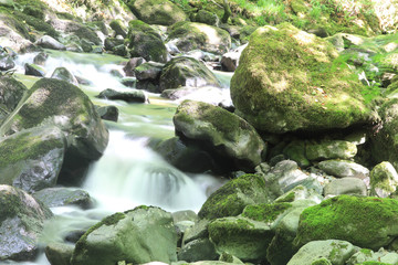 Nature Landscape Background