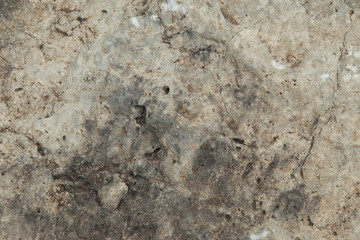 texture of the stone