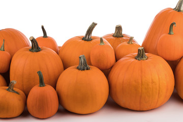 Many orange pumpkins