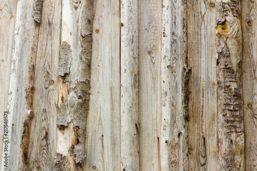 Wall mural wooden background, wooden wall of rough boards