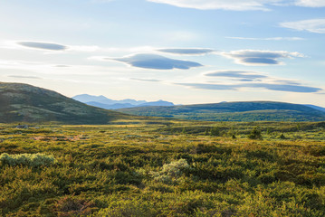 Obraz premium Summer evening at Ringebu mountain