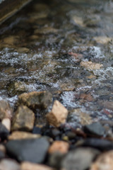 Macro of water bubbles (Jezero Modrac, Prokosovici, Bosnia)