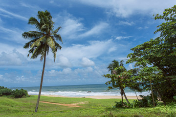 Tropical beach of Sri-Lanka