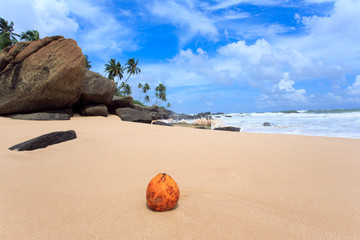 Fototapeta na wymiar Tropical beach of Sri-Lanka