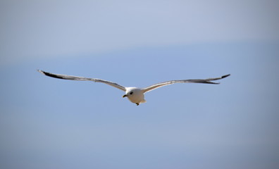 Eindrücke vom Inselurlaub in Dänemark an der Nordsee