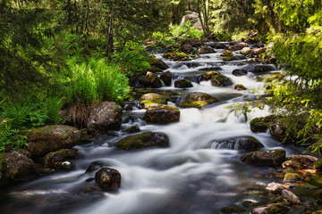 Fototapeta premium Fluss