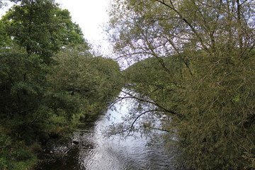 Countryside Landscape Background
