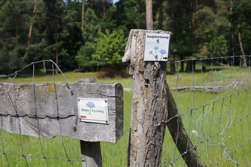 Schilder mit der Aufschrift Sandglöckchenweg und Dünen Rundweg in den Dünen vom öffentlichen Naturschutzgebiet in Sandweier Baden-Baden