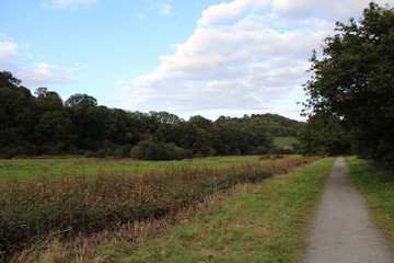 Fototapeta na wymiar Countryside Landscape Background