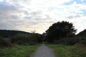 Countryside Landscape Background