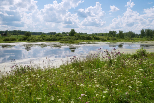 Summer pond in the village of Tatarskaya Kargala