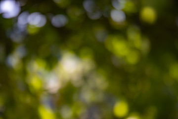 Fototapeta premium Verwirrung der Gefühle