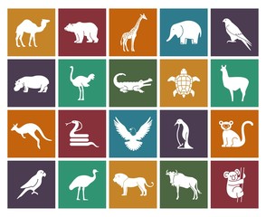 Wild animals and birds icons set. Vector Illustration