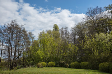 Landschaft mit Wiese vor B&auml;umen