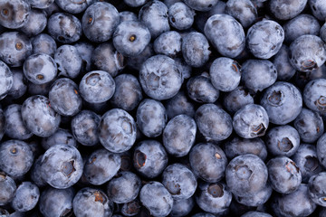 blueberry