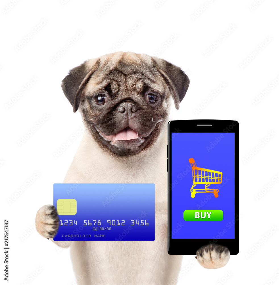 Poster puppy with smartphone and credit card. isolated on white background