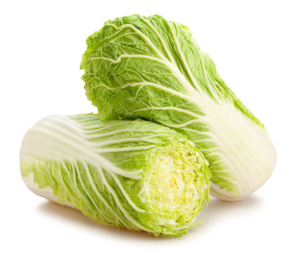 chinese cabbage