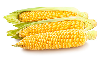 corn