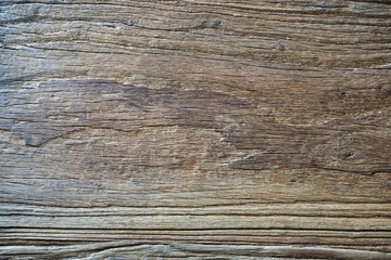 Regular texture of wood