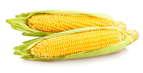 corn