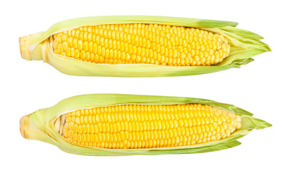 corn