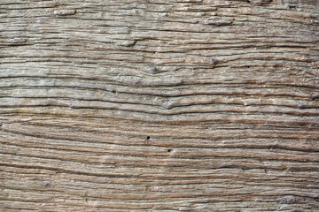 Regular texture of wood