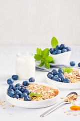 Homemade granola or oatmeal muesli with nuts, dried fruits and fresh berries. Healty diet breakfast, vegeterian food concept