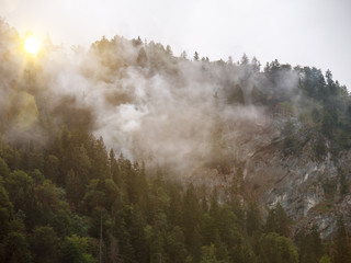 Waldbrand in den Bergen