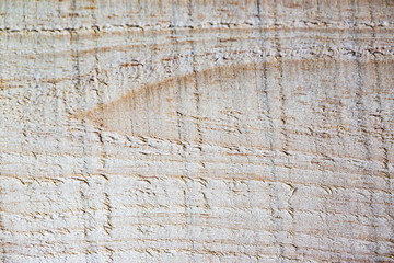 Regular texture of wood