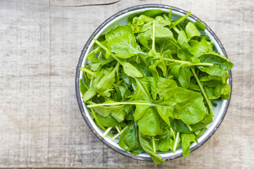 Fresh rucola salad in a bowl on the wooden background
