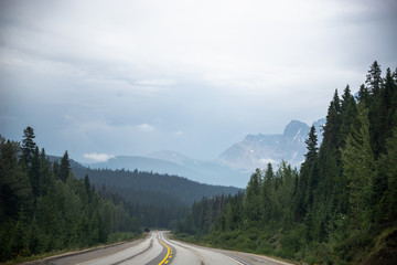 Road in Jasper National Park