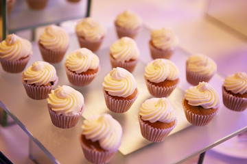 Beautifully decorated catering banquet table with different food snacks and appetizers on corporate christmas birthday party event or wedding celebration