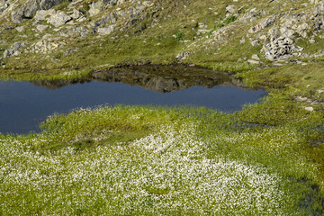 Fototapeta na wymiar Bergspitze spiegelt sich in Bergsee