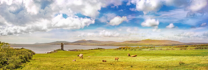 Panoramic landscape with an ocean coast and a meadow with cows