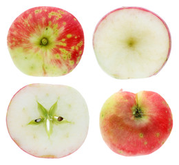 Halfs  of the ripe sweet summer apple fruit