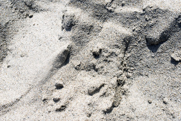 A view of a sand at the beach for wallpaper, background or backdrops