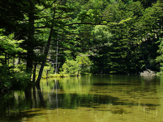 夏の上高地