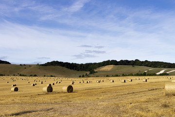 Livestock winter feed bales of hay in farmland field in rural Hampshire