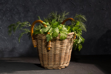 Parsley and dill in a basket