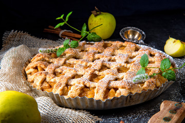 Tasty Apple pie with lattice upper crust