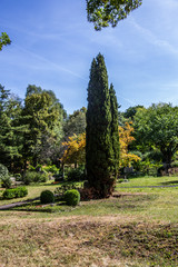 Grüne Parklandschaft mit Bäumen und Sträuchern